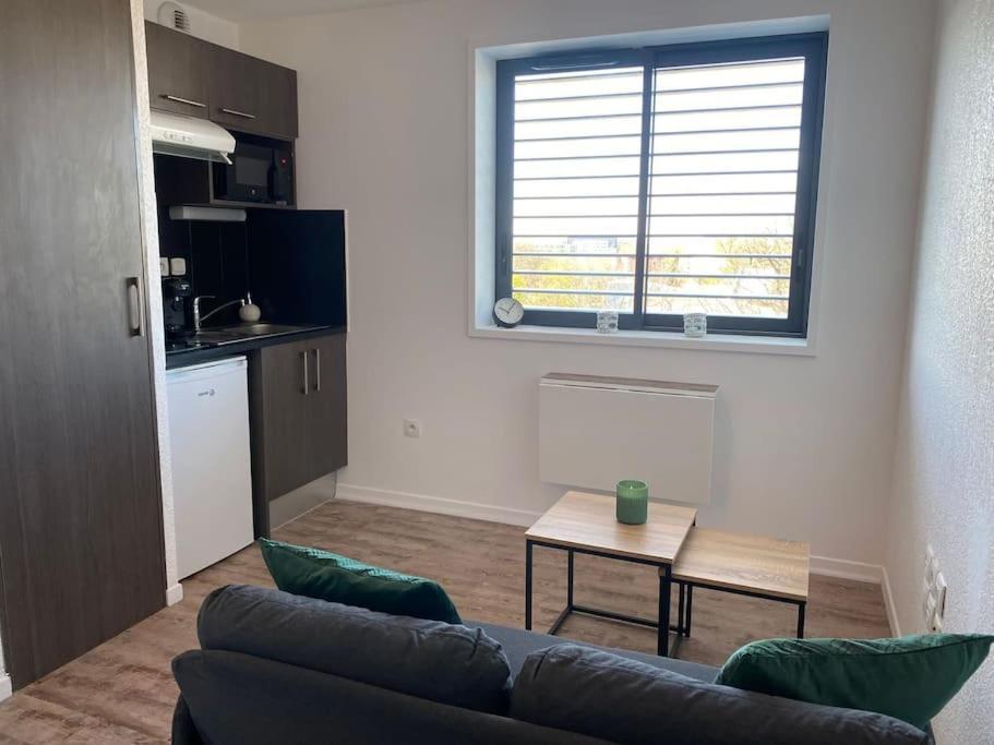 La Suite Griffon - Parking & Balcon Toulouse Exterior foto
